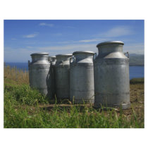 Milk urns flyer design