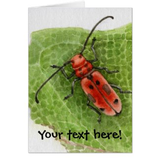 Milkweed Borer Beetle -customizeable card card