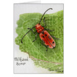 Milkweed Borer Beetle Greeting Card