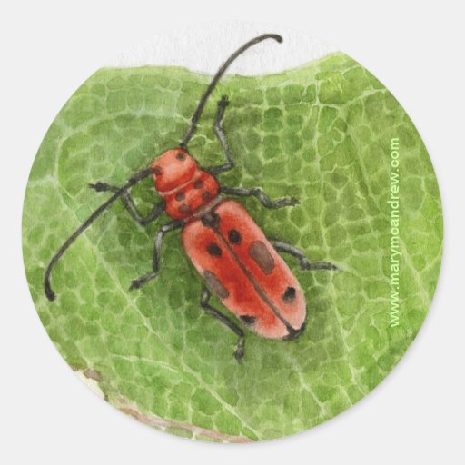 Milkweed Borer Beetle Round Stickers