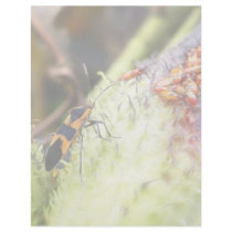 Milkweed Bug And Babies - Oncopeltus Fasciatus Personalized Letterhead