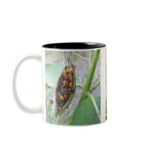 Milkweed Bug Families Mug by CarolsCamera Milkweed Bug Families Mug