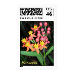 Milkweed for Monarchs Postage Stamps