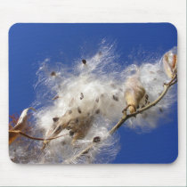 Milkweed seeds ~ MP mousepads