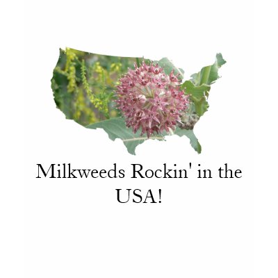 Milkweeds Rockin' in the USA! T Shirts by codfishlady