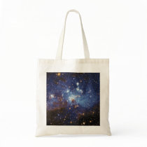 Milky Way Star Formation Stellar Nursery LH 95 Bags