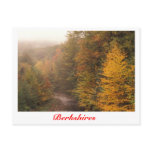 Mill Brook Autumn, Berkshires Stream Postcard