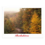 Mill Brook Autumn, Berkshires Stream Postcard