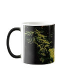 mill creek mugs