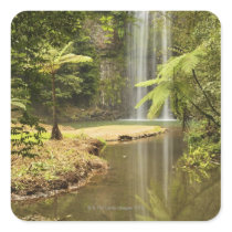 Millaa Millaa Falls, Atherton Tableland Sticker