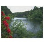 Millburies Lake, Moray, Scotland Personalized Flyer