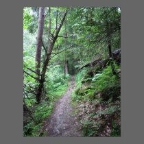 MillCreek Park - #8 2010 posters