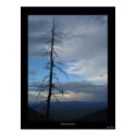 Miller Canyon Solitude posters by hail108 Miller Canyon Solitude posters