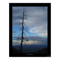 Miller Canyon Solitude posters