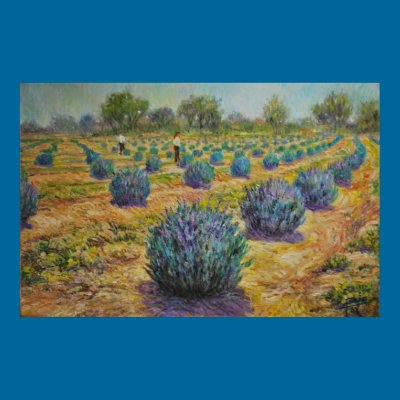 Miller Creek Lavender Farm Print by Cathyyy