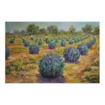Miller Creek Lavender Farm posters by Cathyyy Miller Creek Lavender Farm posters