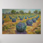 Miller Creek Lavender Farm posters