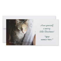 Millie at window photo card photo cards