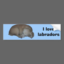 Millie copy, I love labradors bumper stickers