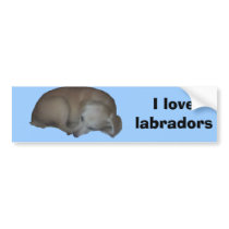 Millie copy, I love labradors bumper stickers by Moondial Millie copy, I love labradors bumper stickers