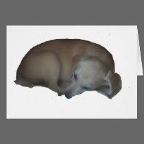 Millie Dog cards