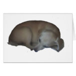 Millie Dog Greeting Cards