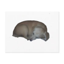 Millie postcards by Moondial Millie postcards