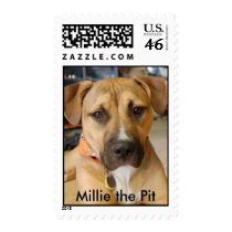 Millie the Pit Stamp