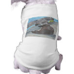 Millie the river otter pet shirt