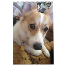 Milly the corgi chooses a mate wall calendars