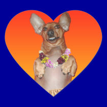 Milner the Dancing Dachshund Heart Stickers stickers