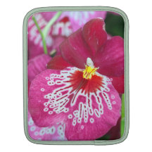 Miltonia orchid flower sleeves for iPads