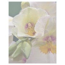 Miltonia Orchid • Letterhead by SabineSt Miltonia Orchid • Letterhead