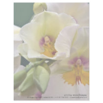 Miltonia Orchid • Personalized Letterhead by SabineSt Miltonia Orchid • Personalized Letterhead
