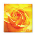 Mimi Rose magnets by Roco1975 Mimi Rose magnets