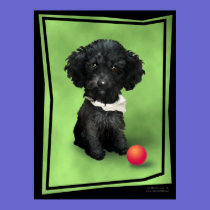 Mimiature Poodle posters