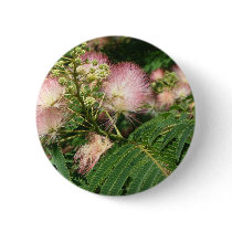 mimosa  blooming 2010 buttons