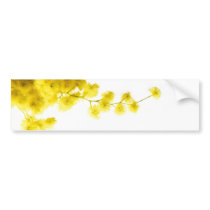 Mimosa Bumper Stickers