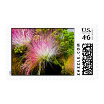 Mimosa Delight stamps