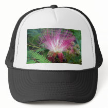 Mimosa hats