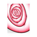 Mimosa posters by meddlerinc Mimosa posters