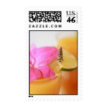 Mimosa Stamp