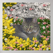 Mimosa the Tiger Cat in Mimosa Flowers Print