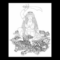 Min’gyür Pema Wangmo Line Drawing [poster] posters