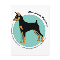 Min Pin Fearless Black and Tan on Green postcards by DDGraphix Min Pin Fearless Black and Tan on Green postcards