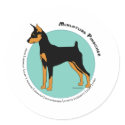 Min Pin Fearless Black and Tan on Green stickers by DDGraphix Min Pin Fearless Black and Tan on Green stickers