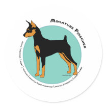 Min Pin Fearless Black and Tan on Green stickers by DDGraphix Min Pin Fearless Black and Tan on Green stickers