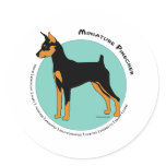 Min Pin Fearless Black and Tan on Green Round Stickers