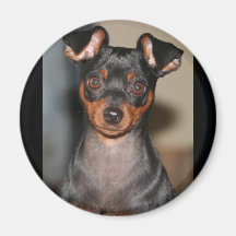 Min_pin Fridge Magnet