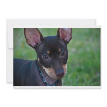 Min Pin invitation